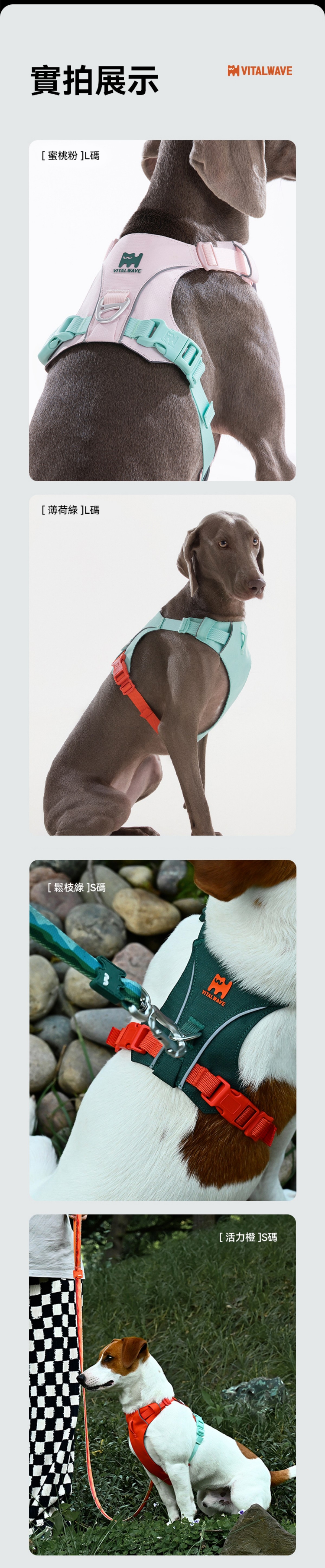 VITAL WAVE 煥彩羽感胸背帶 （兩爪）